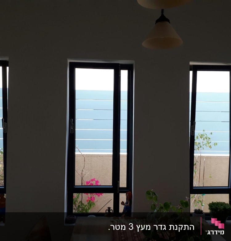 עציצים עם צמחים ירוקים ופרחים ורודים על אדן החלון